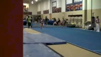 WOGA (Lark Pokladnik)