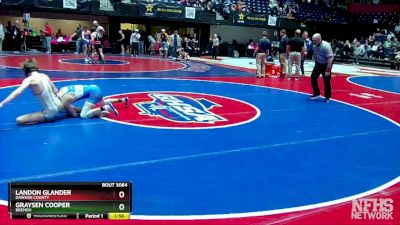 3A-113 lbs Quarterfinal - Landon Glander, Dawson County vs Graysen Cooper, Bremen