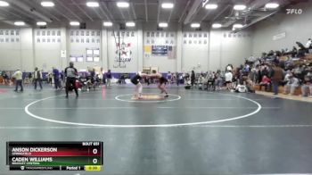 190 lbs Cons. Round 4 - Anson Dickerson, Springfield vs Caden Williams, Bradley Central