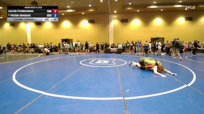 165 lbs Champ. Round 1 - Jacob Pomraning, Pennsylvania vs Peter Mikedis, New York