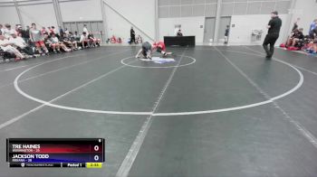 157 lbs Round 2 (8 Team) - Tre Haines, Washington vs Jackson Todd, Indiana