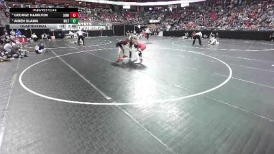 D1-120 lbs Quarterfinal - George Hamilton, South Milwaukee vs Aiden Slama, Milton