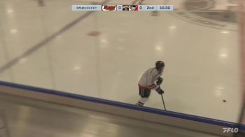 Replay: Home - 2024 SC Blades vs Havoc | Jan 6 @ 6 PM