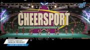 Palmetto Cheer Elite - Junior Prodigy [2025 L2 Junior - D2 - Small - B Day 3] 2025 CHEERSPORT National All Star Cheerleading Championship