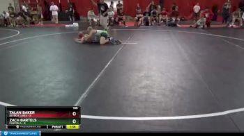 106 lbs Round 2 (4 Team) - Talan Baker, Detroit Lakes vs Zach Bartels, Canton A