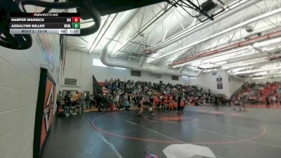 73-76 lbs Round 1 - Harper Marsico, Riverton Middle School vs Addalynn Miller, Worland Middle School