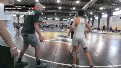 103 lbs Round 3 (12 Team) - Connor Gregor, Upper Merion vs Skylar Napolitano, CT Sneaky Golem`s