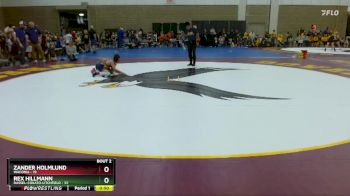 102 lbs Semis (4 Team) - Zander Holmlund, Waconia vs Rex Hillmann, Dassel-Cokato-Litchfield