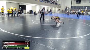 95 lbs Semis & 1st Wrestleback (8 Team) - Samuel Strack, Little Falls vs Clayton Birkholz, HLWW