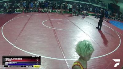 60 lbs 1st Place Match - Michael Pechnyo, Colorado vs Ceder Smith, Utah