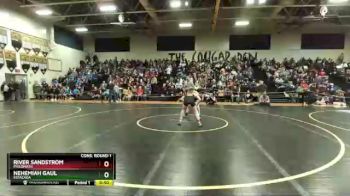 106 lbs Cons. Round 1 - Nehemiah Gaul, Estacada vs River Sandstrom, Philomath