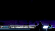 Dancin Bluebonnets - Tiny Elite Jazz [2022 Tiny - Jazz Day 3] 2022 JAMfest Dance Super Nationals