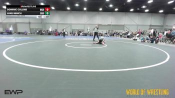 61 lbs Rr Rnd 3 - Dominic Collins, Washington 9U vs Luke Minich, Shootbox 9U