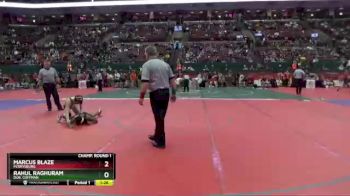 D1-113 lbs Champ. Round 1 - Rahul Raghuram, Dub. Coffman vs Marcus Blaze, Perrysburg