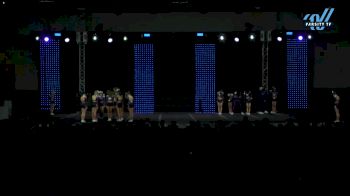 ICE - ProphICY [2025 L5 Senior Coed Day 2] 2025 ASC King of the Jungle Schaumburg Showdown