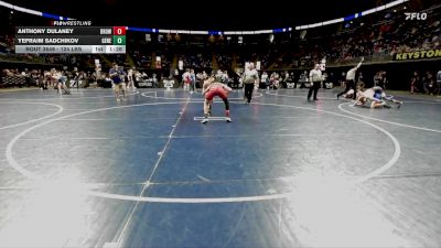 124 lbs Consy 1 - Anthony Dulaney, Brownsville vs Yefraim Sadchikov, General McLane