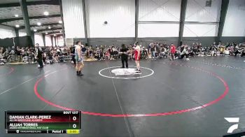 195 lbs Cons. Round 2 - Damian Clark-Perez, All In Wrestling Academy vs Alijah Torres, Askeo International Mat Club