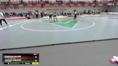 165 lbs Quarterfinal - Donovan Palmer, Baldwin Wallace vs Connor Gregory, Castleton