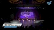 Dance Dynamics - Mini Elite Large Hip Hop [2025 Mini - Hip Hop - Large Day 2] 2025 Power Dance Grand Nationals