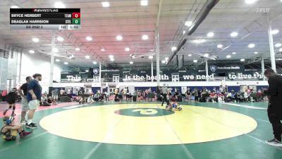 61 lbs Rr Rnd 3 - Bryce Herbert, Team Diamond Fish - K6 vs Deaglan Harrsion, Steller Trained Grievous - K6