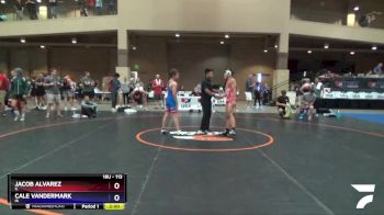 113 lbs Semifinal - Jacob Alvarez, IL vs Cale Vandermark, IA