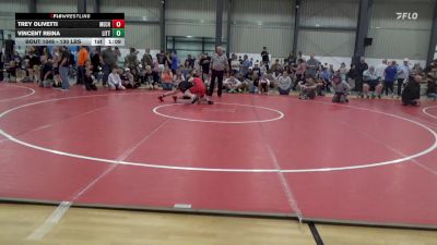 130 lbs Quarterfinal - Trey Olivetti, Mechanicsburg vs Vincent Reina, Littlestown