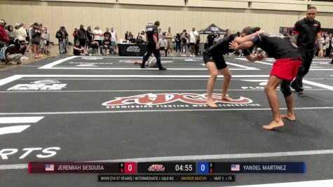 Yandel Martinez vs Jeremiah Desousa 2025 ADCC Orlando Open/Youth Trials