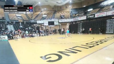 124 lbs Champ. Round 2 - Janel Golderos, Schreiner University vs Sasha Williams, Unaffiliated