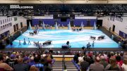 Zionsville Comm HS "Zionsville IN" at 2026 WGI Percussion Indianapolis Regional+