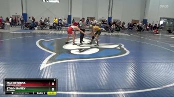 141 lbs Champ. Round 2 - Max DeSousa, Cortland State vs Ethyn Ramey, McDaniel