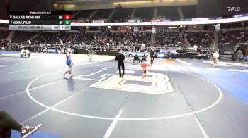 114 lbs Cons. Round 2 - Dallas Bohling, SVEC-4 vs Keira Filip, Minisink Valley-9