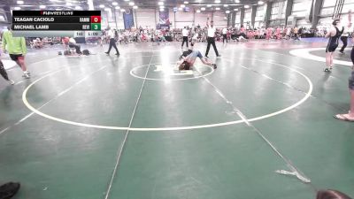 126 lbs Rr Rnd 1 - Teagan Caciolo, Hammerin Hornets vs Michael Lamb, Revival Orange