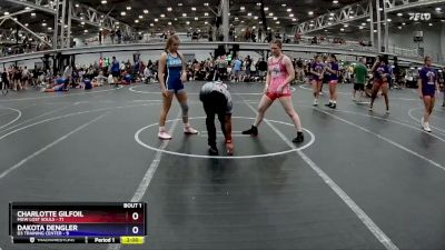 145 lbs Finals (2 Team) - Dakota Dengler, D3 Training Center vs Charlotte Gilfoil, MGW Lost Souls