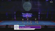 New Mexico Renegades - Southwest [2024 New Mexico Pop Warner Wednesday] 2024 Pop Warner National Cheer & Dance Championship