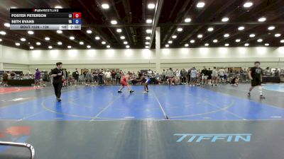 138 lbs Cons. Round 4 - Foster Peterson, LA vs Seth Evans, VA