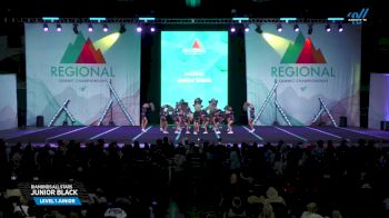 Diamonds All Stars - Junior black [2025 L1 Junior Day 2] 2025 The Southeast Regional Summit