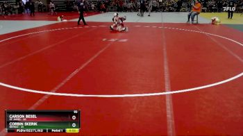 93 lbs Placement (4 Team) - Corbin Skerik, Bemidji vs Carson Besel, St. James