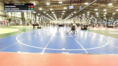 132 lbs Round Of 128 - Aiden Hansel, TN vs Quade Cummings, DE