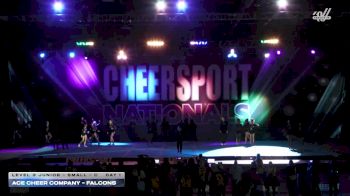ACE Cheer Company - Falcons [2026 L3 Junior - Small - C Day 1] 2026 CHEERSPORT National All Star Cheerleading Championship
