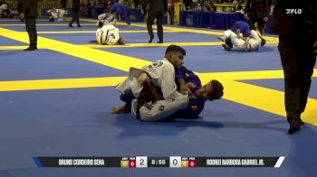 Rodnei Barbosa vs Bruno Sena | 2025 World Jiu-Jitsu IBJJF Championship