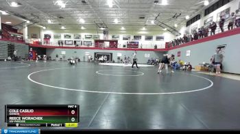 184 lbs Quarterfinal - Cole Casilio, Gannon vs Reece Worachek, UW-Parkside