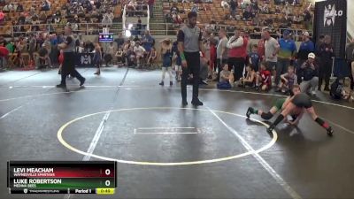 56 lbs Cons. Round 3 - Levi Meacham, Waynesville Spartans vs Luke Robertson, Medina Bees