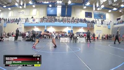 98 lbs Semifinal - Gus Packer, Snake River vs Bodee Williams, Meridian