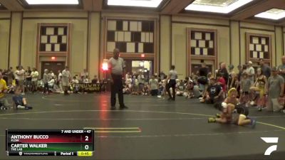 47 lbs Quarterfinal - Anthony Bucco, Flow vs Carter Walker, The Lab