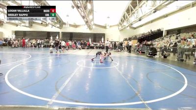 65 lbs Rr Rnd 9 - Logan Vallalla, Mat Assassins White vs Wesley Rappo, ICWL Bruisers Elite