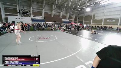 165 lbs Semifinal - Tayson Wylie, Sanderson Wrestling Academy vs Finn Hellmich, Champions Wrestling Club