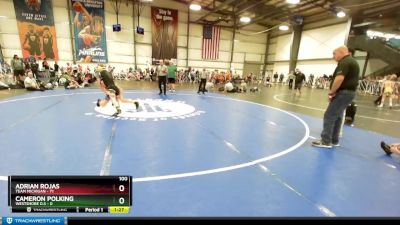 100 lbs Rd# 10- 4:00pm Saturday Final Pool - Adrian Rojas, Team Michigan vs Cameron Polking, Westshore D.S