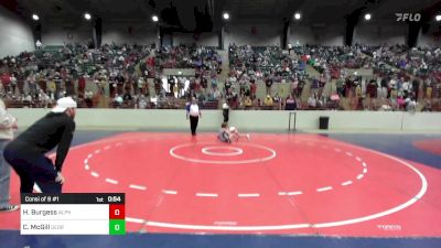 73 lbs Consi Of 8 #1 - Hallie Burgess, Alpha Wrestling Club vs Crews McGill, Georgia