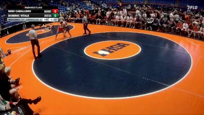 157 lbs Quarterfinals (8 Team) - Dominic Vitale, Crystal Lake (Central) vs Nino Caballero, Mahomet (M.-Seymour)