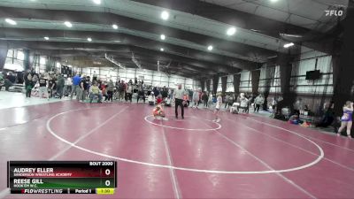 80 lbs Semifinal - Audrey Eller, Sanderson Wrestling Academy vs Reese Gill, Hook`Em W.C.